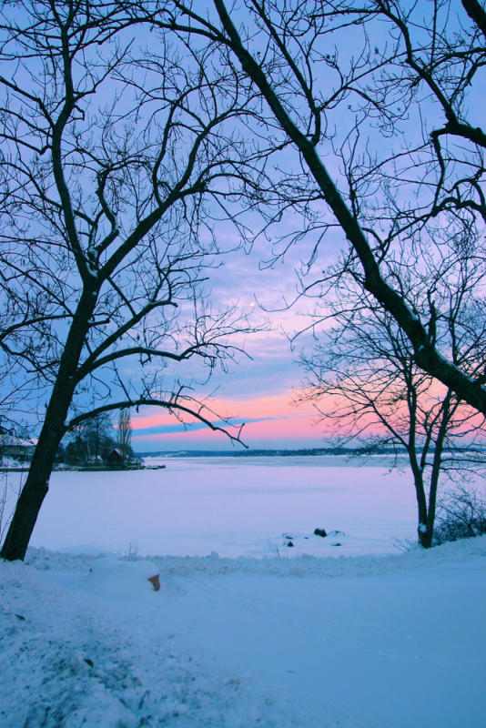 Frozen Landscape