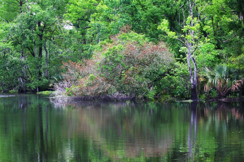 Kanal