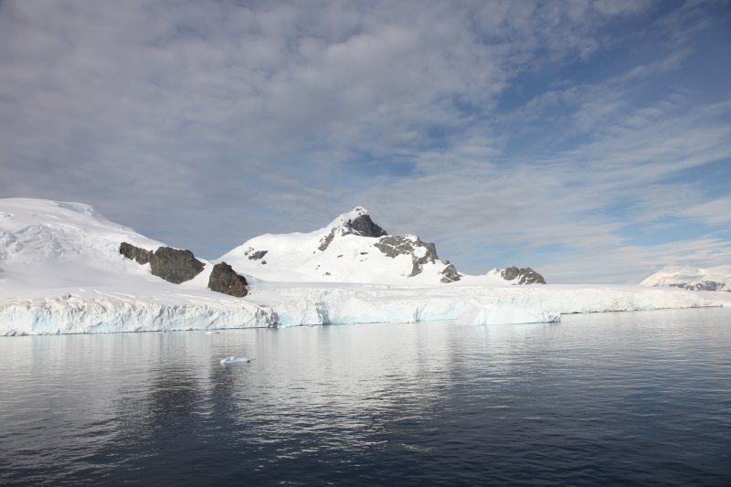 cuverville island