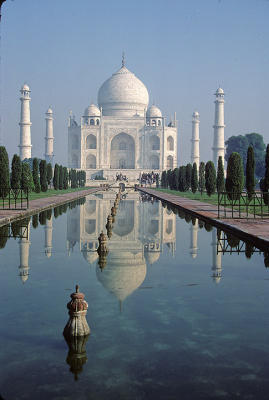 taj