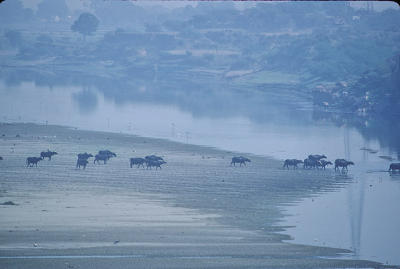 agra