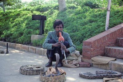 jaipur