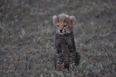 Africa 2008  baby