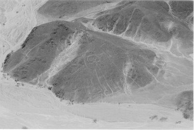 nasca lines