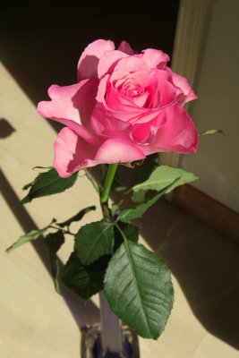 R0674w