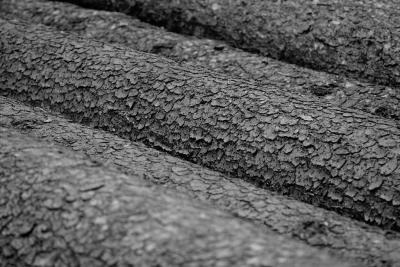 g3/93/522693/3/54983411.IMG_5419.jpg
