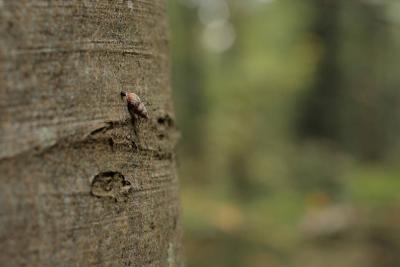 IMG_5755.JPG
