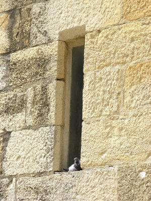 Lisboa, castle