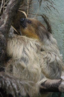 IMG_4749.JPG
