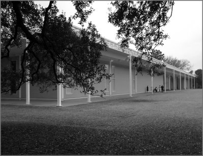 The Menil Collection