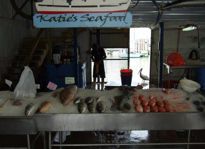 katie's seafood