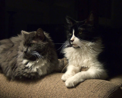 ella and heidi