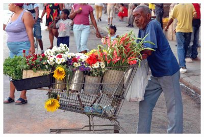 havana, cuba 5-14-230