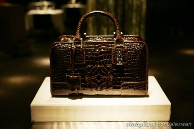 20071114-loewe-luncheon-005s.jpg