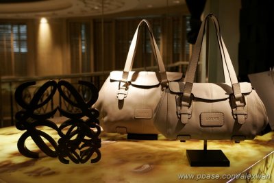 20071114-loewe-luncheon-009s.jpg