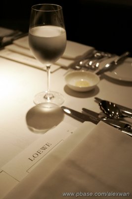 20071114-loewe-luncheon-016s.jpg