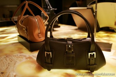 20071114-loewe-luncheon-019s.jpg
