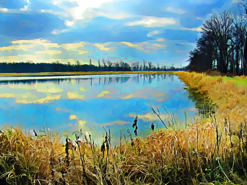 pond.jpg