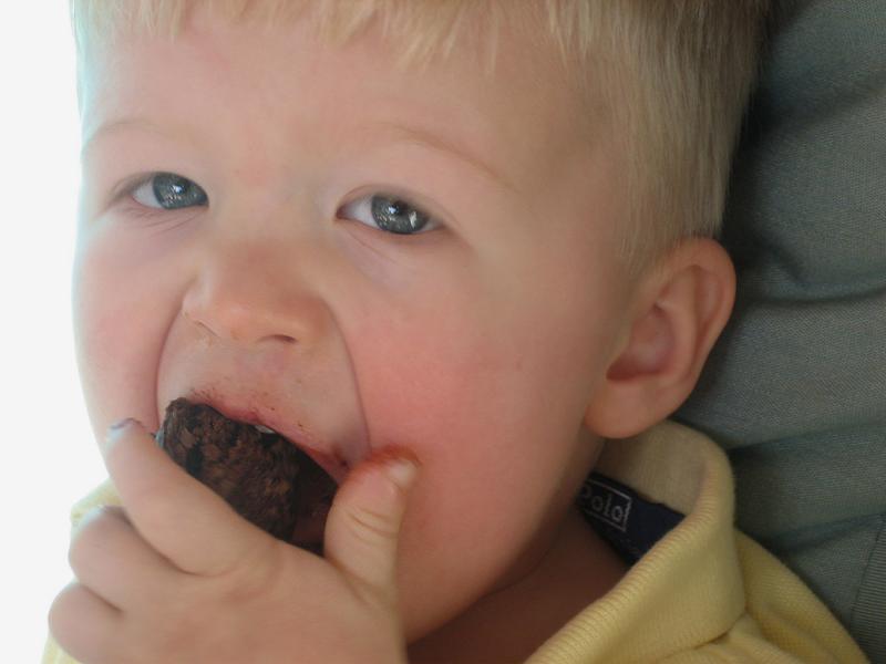 henry and the brownie.jpg