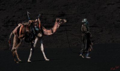 camel SMALLpost.jpg