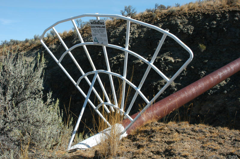 UFO Antenna (1 of 4)