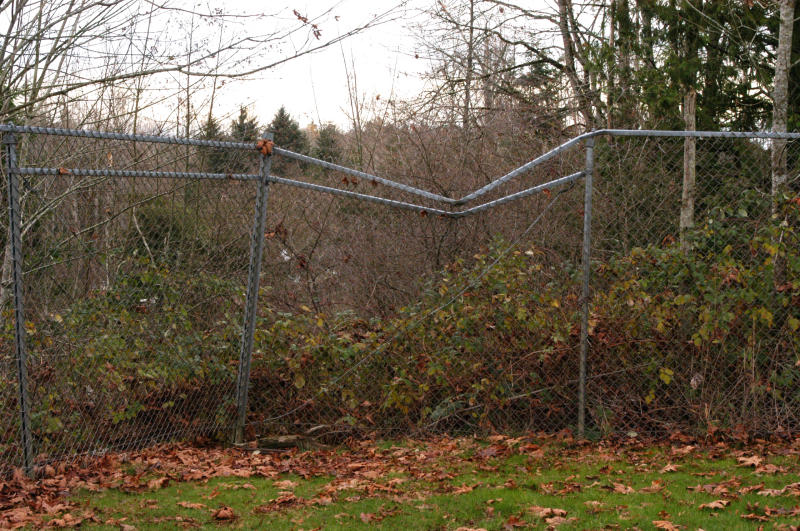 Damaged fence endured for about a decade