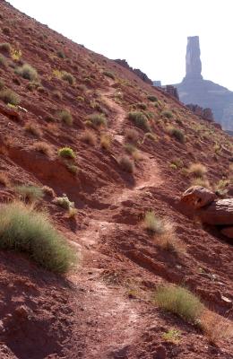 On the trail