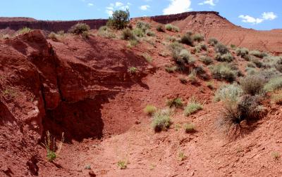 Curving streambed