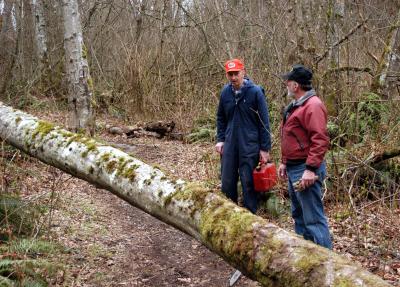 Ken and Carl Cut a Fallen Tree