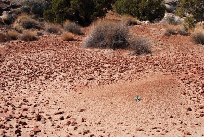 Odd arrangement of stones, the largest of which (bottom left) is about 3 inches (7.5cm) tall