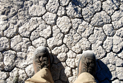 Cracks in the playa