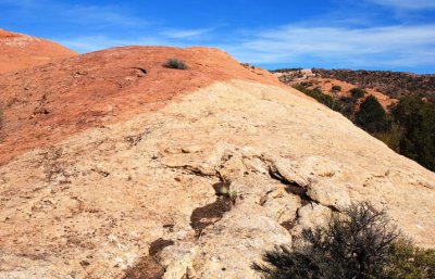 Two-tone sand-stone