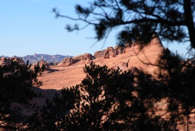 Pinon pine framing Delicate Arch