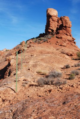 Fence posts (but no barbed wire) below the twins mark a park boundary line