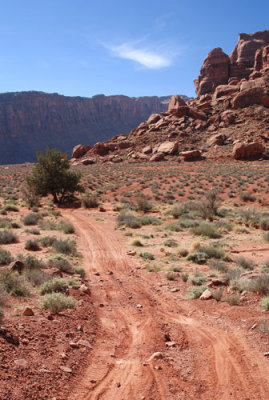 Follow the red dirt road to Jackson Butte (upper right)
