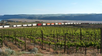 Westbound BNSF trailers and containers and stationary grapes (one PBaser works here)