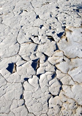 Cracked mud