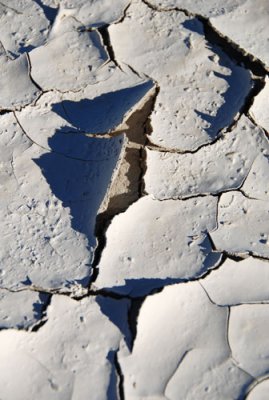 Cracked mud---close view