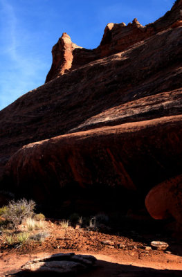 Fingers of the viewpoint