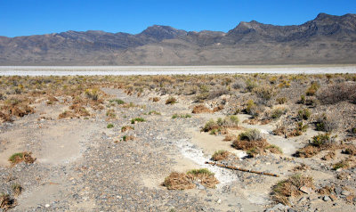 One of many dry washes leading to the playa; bamboo stick is 6 feet (1.8m) long