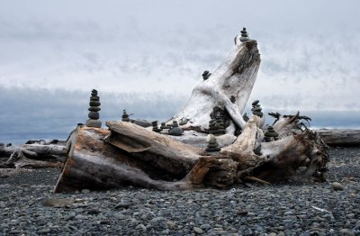Art gallery on a driftwood log