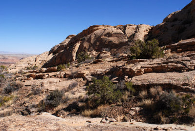 Landscape of sandstone and bushes