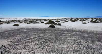 End of the finger and start of the playa; the dike is straight ahead