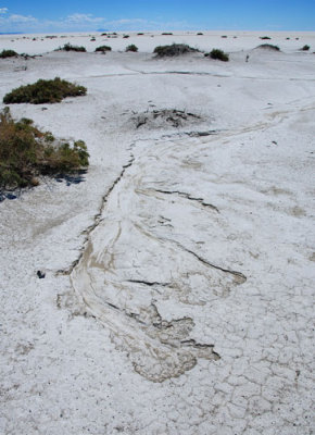 Drainage pattern on the almost-level playa