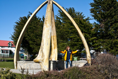 Blue Whale bones , Port Stanley