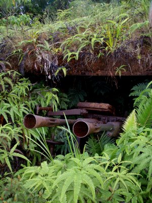 Japonise cannon ( WWII)