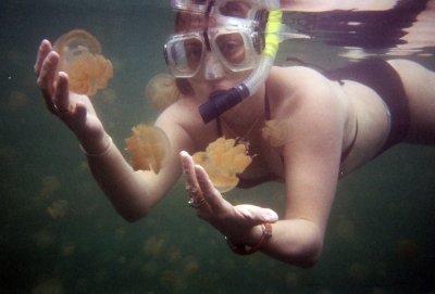 Jellyfish lake
