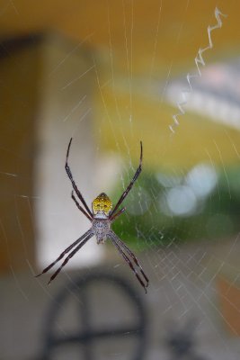 DSC_00360001.JPG