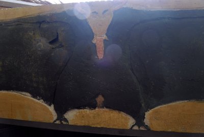 Female bat
