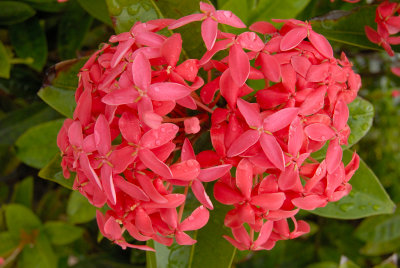 DSC_05090001.JPG